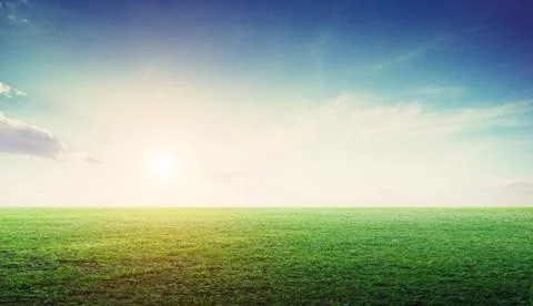 Grass field landscape panoramic Stock Photos