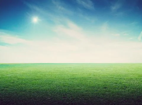 Grass field landscape panoramic Foto stock