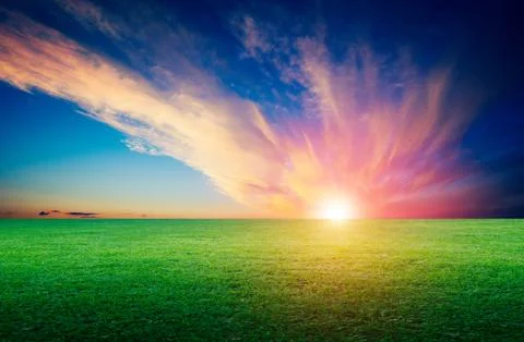 Grass field landscape panoramic Foto stock