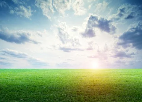 Grass field landscape panoramic Stock Photos