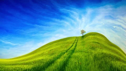 Grass Field Landscape with Tree Stock Footage 134257018