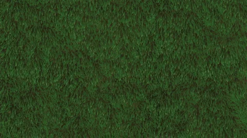 Grass Field Loop Stock Footage 4868981