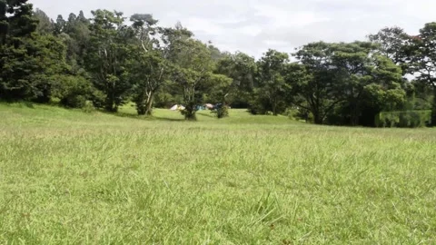 Grass field mountain view in bali Stock Footage 149949677