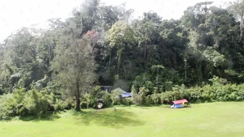Grass field mountain view in bali Stock Footage 149950013