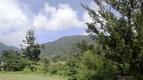 Grass field mountain view in bali Stock Footage 149950070