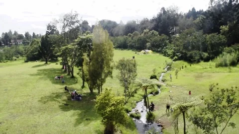 Grass field mountain view in bali Stock Footage 149950088