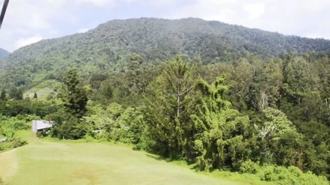 Grass field mountain view in bali Stock Footage 149950094