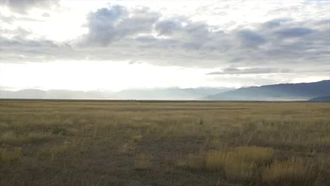 Grass Field with Mountains and Sunrays in Background New Zealand Vídeo Stock 136113759