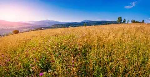 Grass field in the mountains Stock Photos