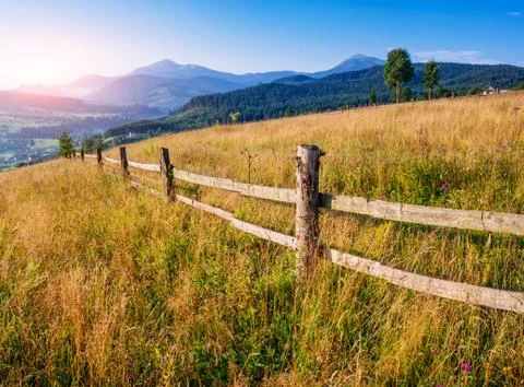 Grass field in the mountains Stock Photos