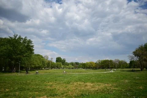 Grass field in the park in spring  Stock Photos