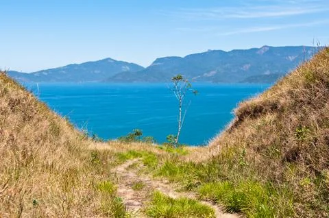 Grass Field 스톡 사진