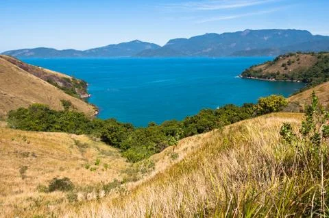 Grass Field 스톡 사진