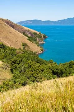 Grass Field 스톡 사진