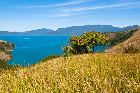 Grass Field 스톡 사진