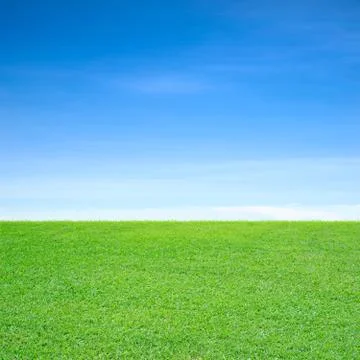 Grass field Stock Photos