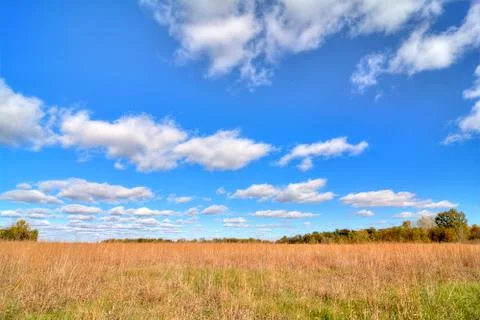 Grass Field Stock Photos