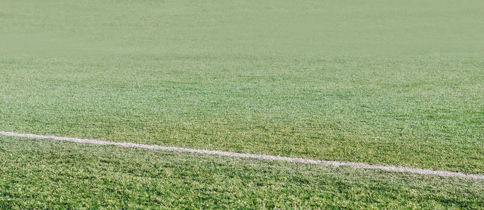 Grass On Field Stock Photos