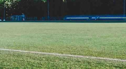 Grass On Field Stock Photos