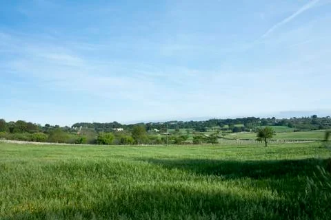Grass Field Stock Photos