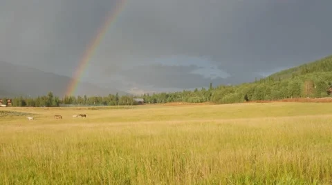 Grass Field With Rainbow Stock Footage 53260321