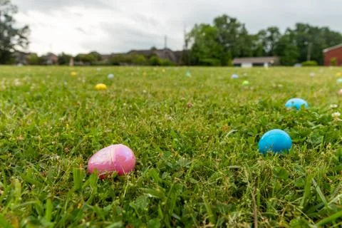 Grass field scattered with Easter eggs Stock Photos