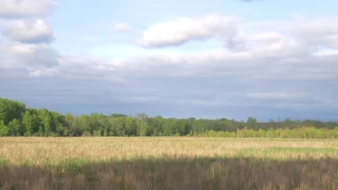 Grass Field With Storm Approaching 스톡 동영상 78690729