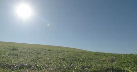 Grass Field with Sun and Sky, Motion Slider Left 库存影片 66910068
