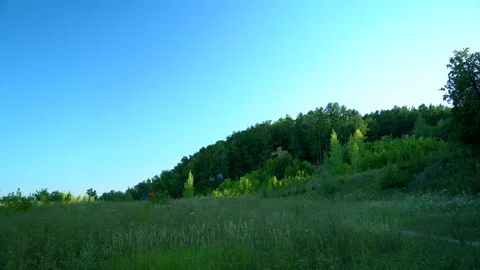 The grass on the field is swaying from the wind Stock Footage 158445107