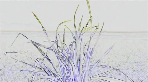 Grass field in the wind, artistic view Video stock 42690220