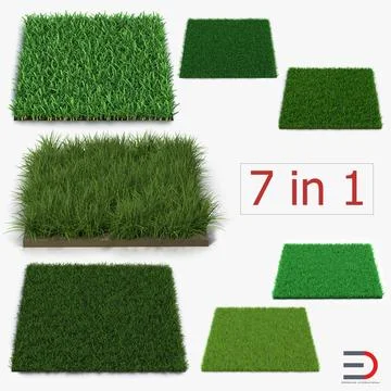 Grass Fields Collection 3D Model