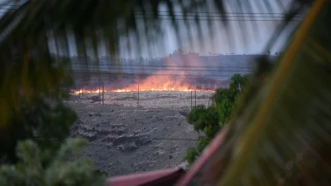 Grass Fire 2K Stock Footage 120669563