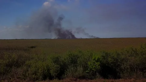 Grass Fire aerial Approach Over Sawgrass Stock Footage 130423485