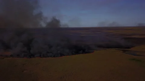 Grass Fire aerial Fire Line Black Smoke Stock Footage 130423430