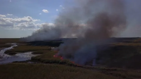 Grass Fire aerial Fire Line Tracking Two Directions Stock Footage 130423487