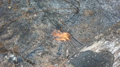 Grass fire burn dry foliage and Fiber optics wires. Destruction environment by Stock Footage 137661659
