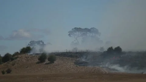 Grass fire burning farm land with small rabbit seen running to escape Stock Footage 147423083