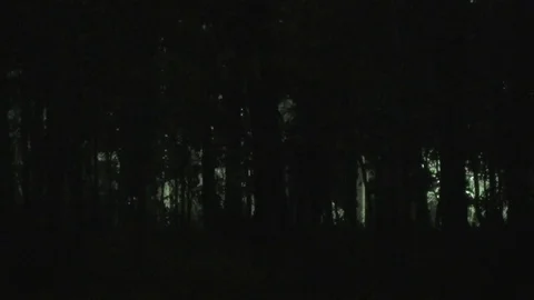 Grass fire, Cambodia Video stock 86218335