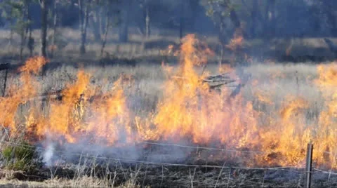 Grass Fire Stock Footage 24865858