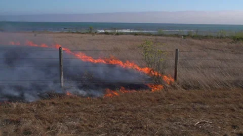 Grass Fire Stock-Footage 65430457