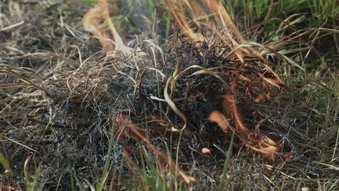Grass on Fire Stock Footage 86471457