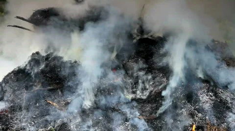 Grass Fire in the garden and pollution the air with Co2 Stockbeeldmateriaal 452003
