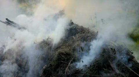 Grass Fire in the garden Stockbeeldmateriaal 452088