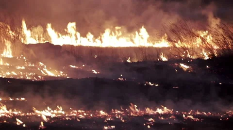 Grass Fire at Night Stock Footage 51658936