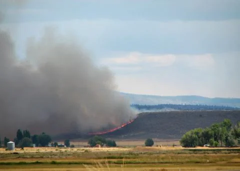 Grass fire Stock Photos