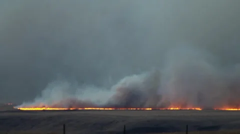 Grass fire on a prairie  Video stock 34458463