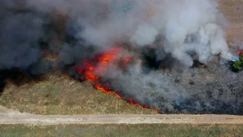 Grass fire spreading slowly, Top down aerial view. Stock Footage