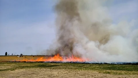 Grass fire wildfire prescribed burn with flames and smoke.  Slow motion. Video stock 107233686