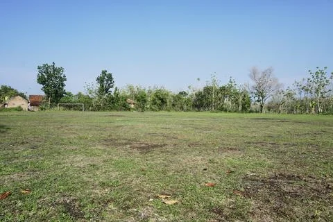 The grass is flat and green Foto stock