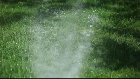 Grass floating Stock Footage 7739507